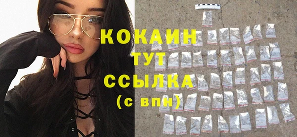 прущие грибы Белокуриха