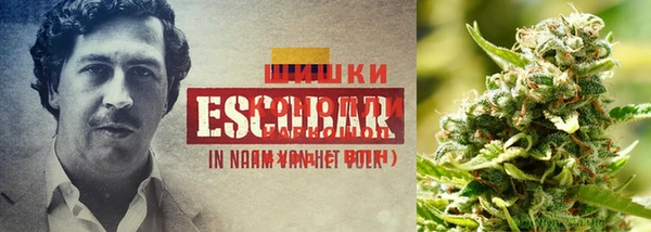 кокаин колумбия Балабаново