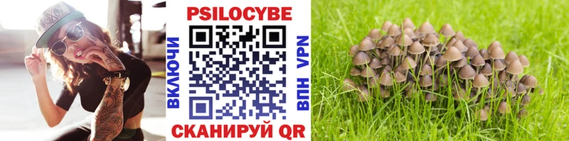 Галлюциногенные грибы ЛСД  Купить  Яхрома 